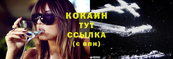 индика Богородицк