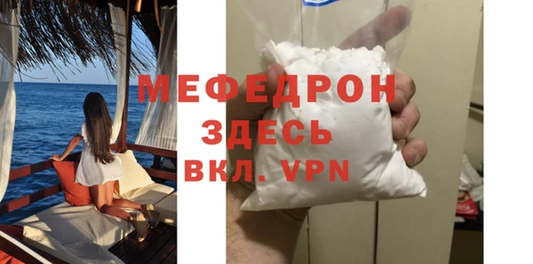 индика Богородицк