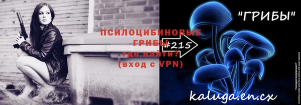 индика Богородицк