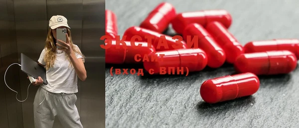 индика Богородицк