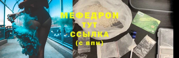 индика Богородицк