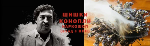 индика Богородицк
