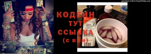 твердый Богданович