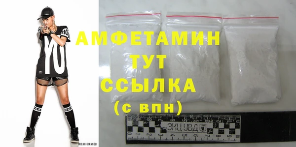 индика Богородицк