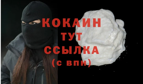 индика Богородицк