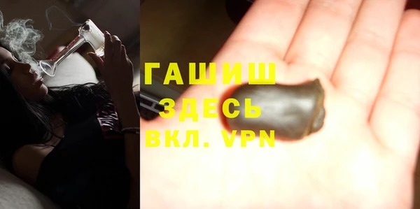 индика Богородицк