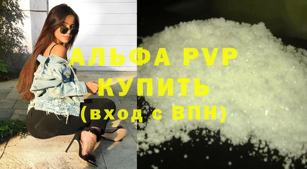 индика Богородицк