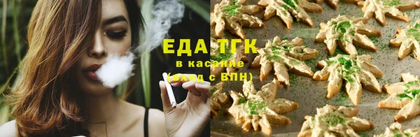 индика Богородицк