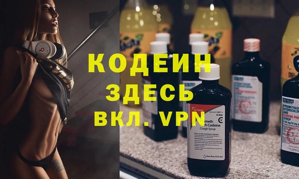 индика Богородицк