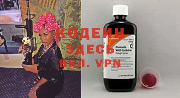 индика Богородицк