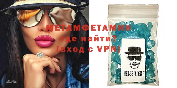 индика Богородицк