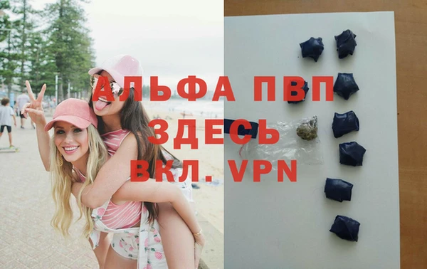 индика Богородицк