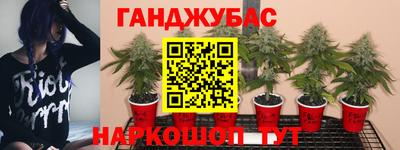 каннабис Славянск-на-Кубани