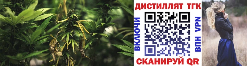 купить закладку  Семилуки  ТГК гашишное масло 