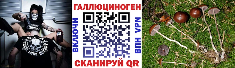 купить наркотики цена Семилуки Галлюциногенные грибы MAGIC MUSHROOMS